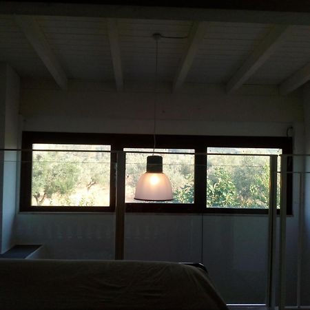 Agriturismo Piccolo Albero Loreto Aprutino Zimmer foto